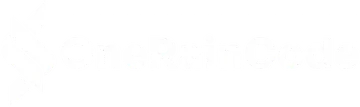 OneRainCode